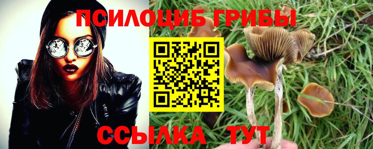 Галлюциногенные грибы ЛСД Ртищево